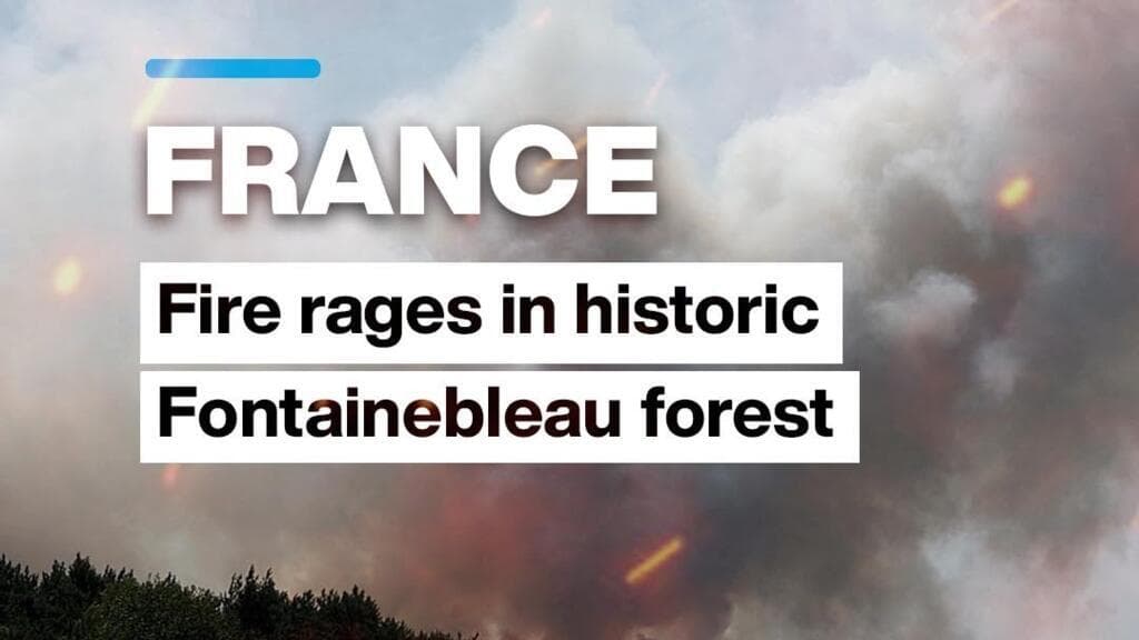 Wildfire Engulfs Fontainebleau Forest, Raising Suspicions of Arson