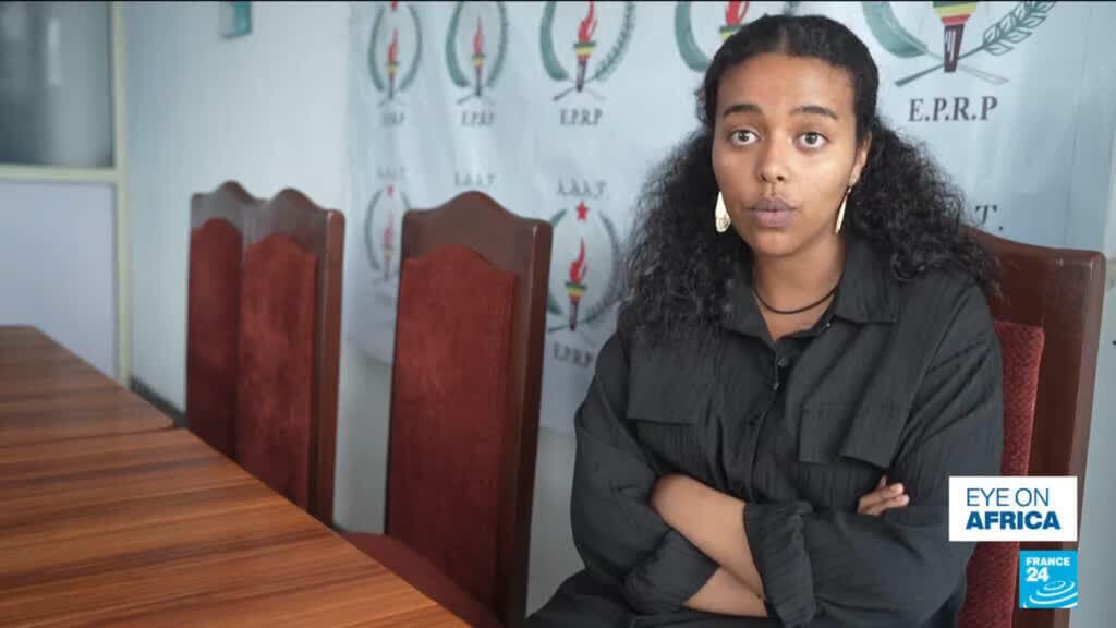 Ethiopian Opposition Voices Concerns Over Election Integrity Ahead of Vote