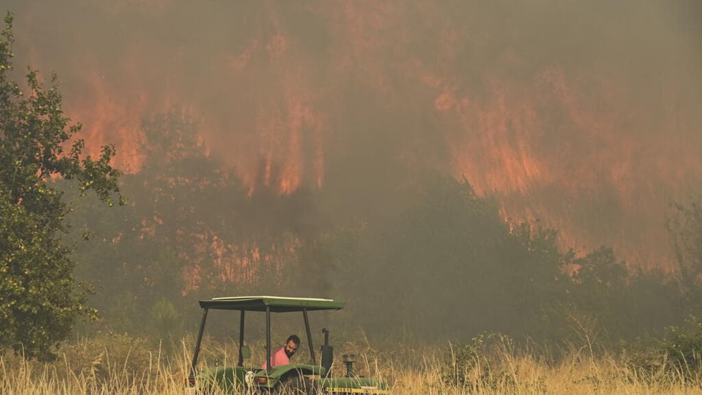 Twelve Dead in Southern Spain Wildfire; Victims Discovered in Vehicles