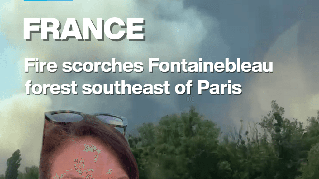 Wildfire Engulfs Fontainebleau Forest Near Paris