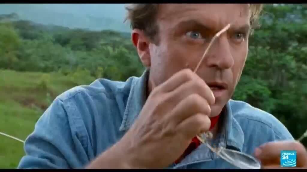 New Zealand Actor Sam Neill, Known for 'Jurassic Park,' Dies at 78