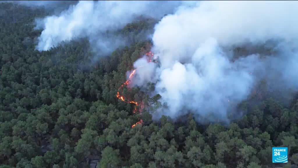 France Loses 2,000 Hectares to Devastating Forest Fires Amid Heatwaves