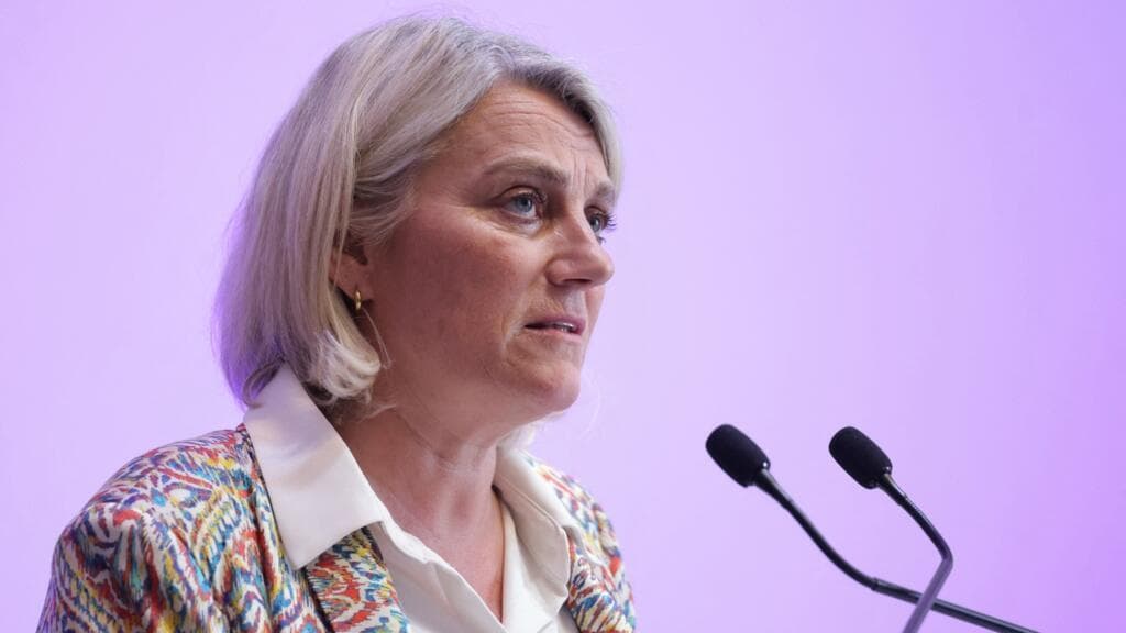 French Health Minister Reports No Evidence of Widespread Hantavirus Circulation