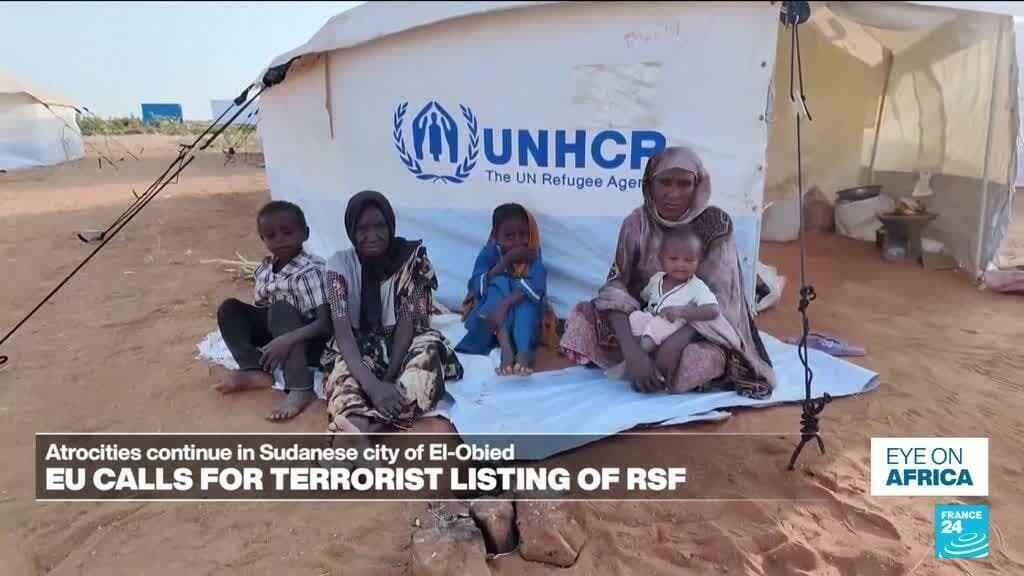 European Parliament Urges EU to Designate Sudan's Rapid Support Forces as Terrorists