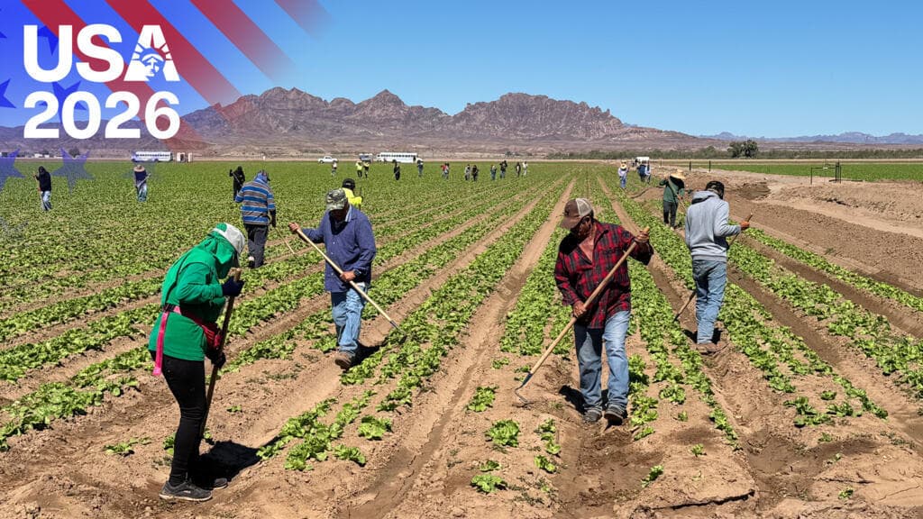 Farmers in Arizona Urge for Increased Migrant Labor Ahead of 2026 Midterms