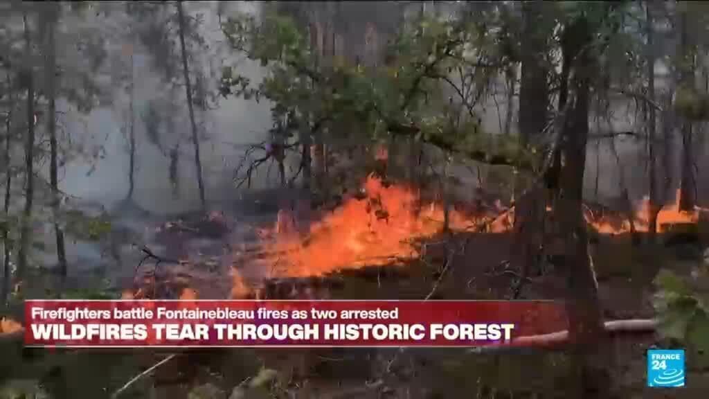 Wildfires Ravage Historic Fontainebleau Forest Near Paris