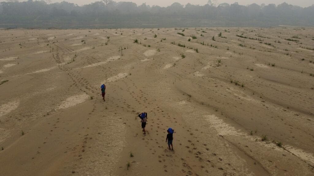 UN Predicts Global Temperatures to Stay Near Record Levels from 2026 to 2030