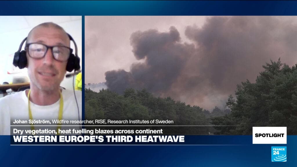 Europe urged to diversify landscapes and enhance land management after wildfires
