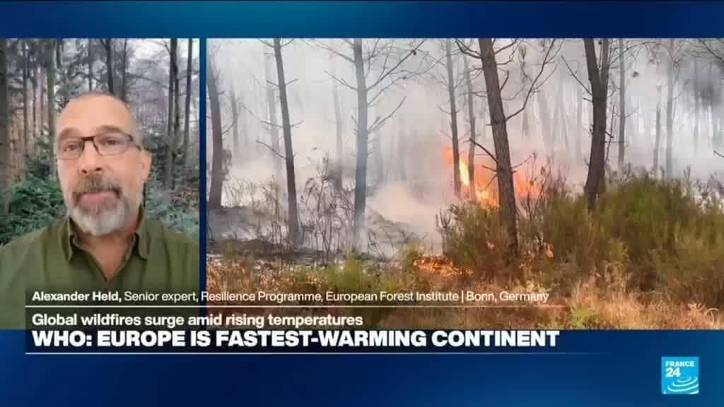 Europe Faces Wildfires and Prepares for Another Heatwave This Summer