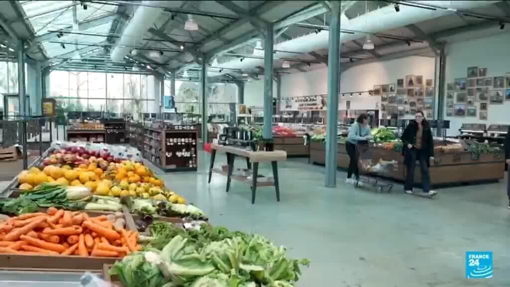 Farmers Launch Supermarket to Improve Produce Access and Pricing