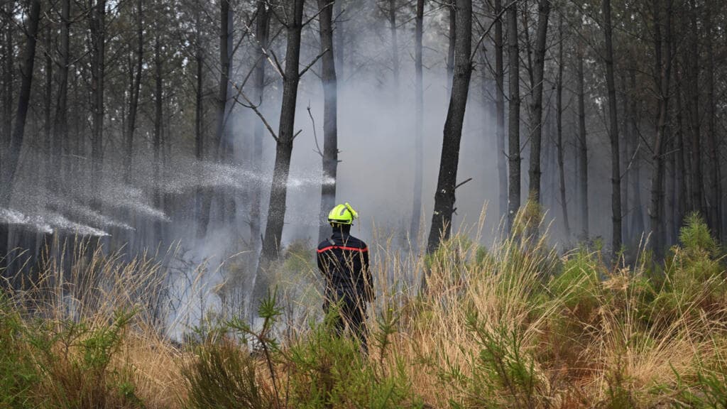 Fires in Southwest France Prompt Discussion on Forest Management Policies