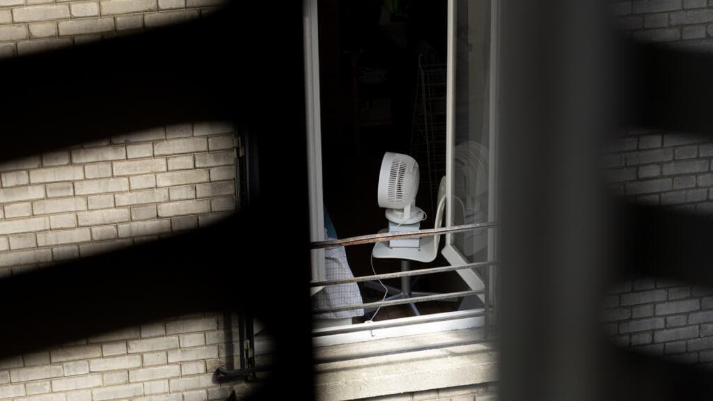 France Reports Over 7,300 Excess Deaths Amid Record Heatwaves