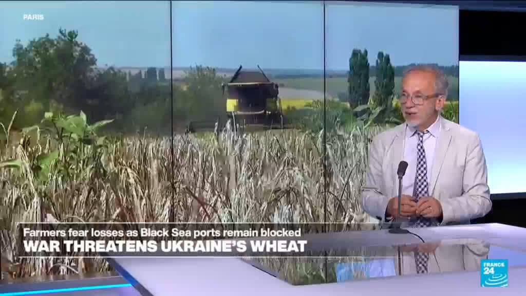 Escalating Attacks on Grain Warehouses Heighten Global Food Price Concerns