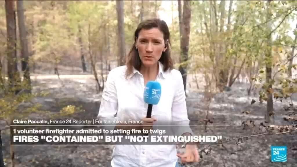 Residents of Fontainebleau React to Devastating Wildfires in the Region