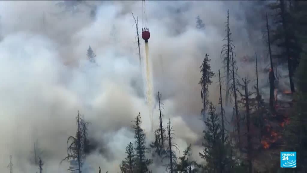 Donald Trump Attributes Smoke Pollution to Canada's Forest Management