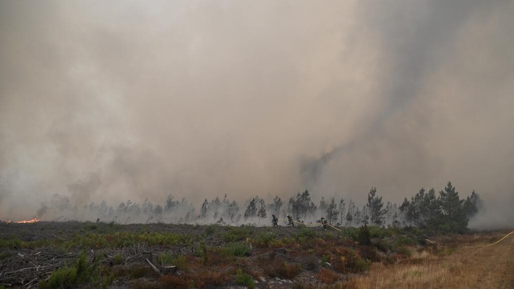 First-Ever Pyrocumulonimbus Clouds Observed Amid Wildfires in France