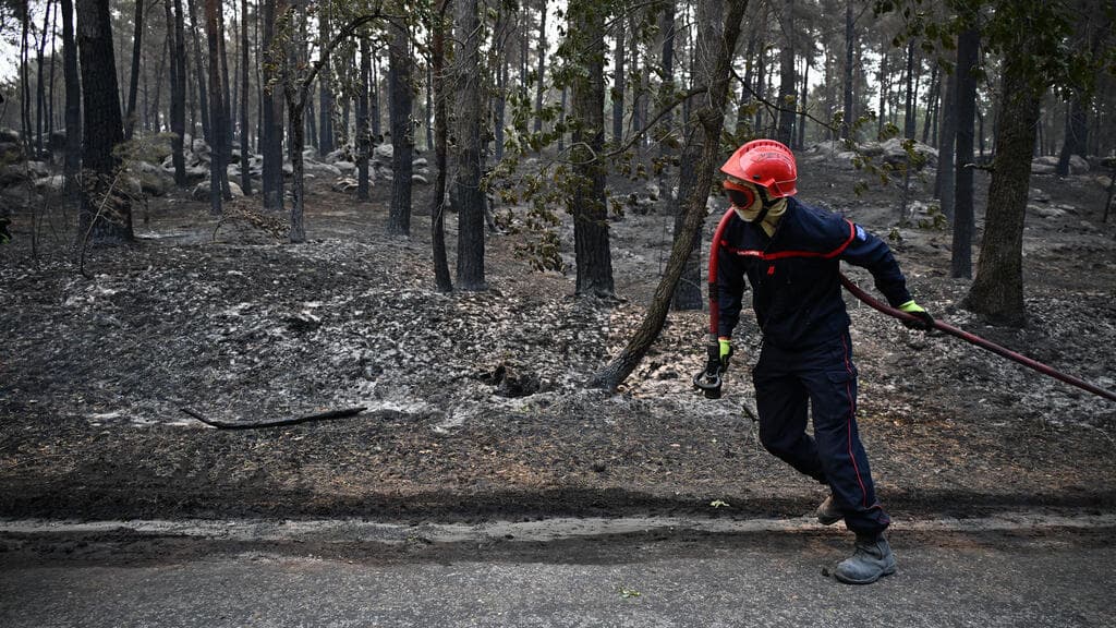 Fontainebleau Forest Assesses Damage After Major Fire Incident
