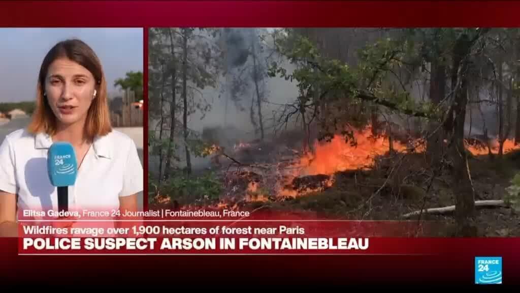 French Police Investigate Possible Arson in Fontainebleau Forest Fires
