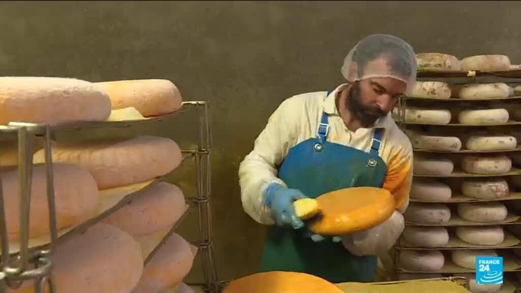 France Faces Drought's Severe Effects on Cheese Production