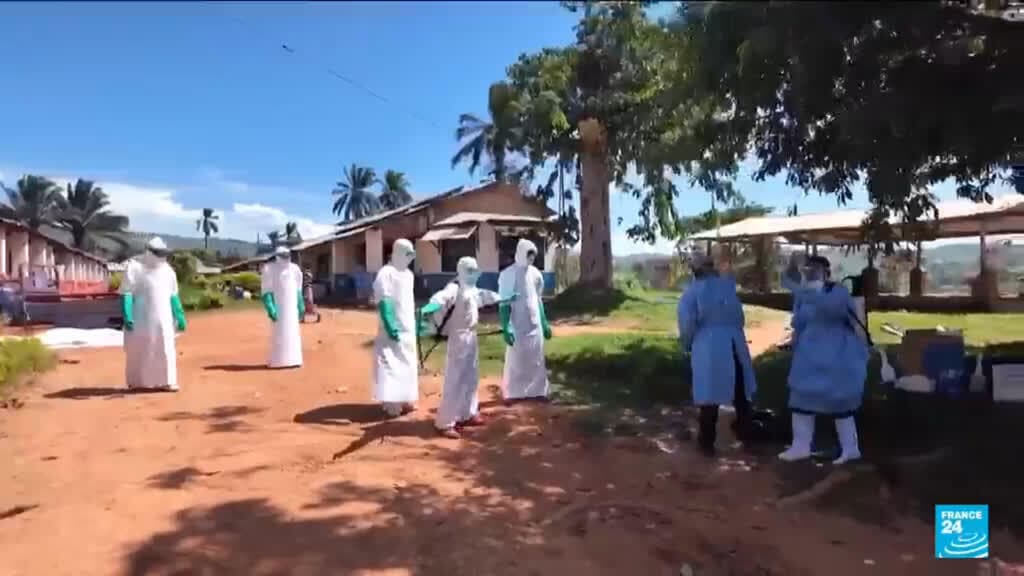 WHO Reports Progress in Ebola Response as DRC Cases Reach 344