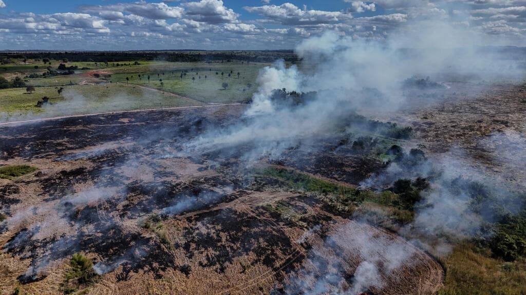 Deforestation in Brazil's Amazon Reaches Lowest Level Since 2019