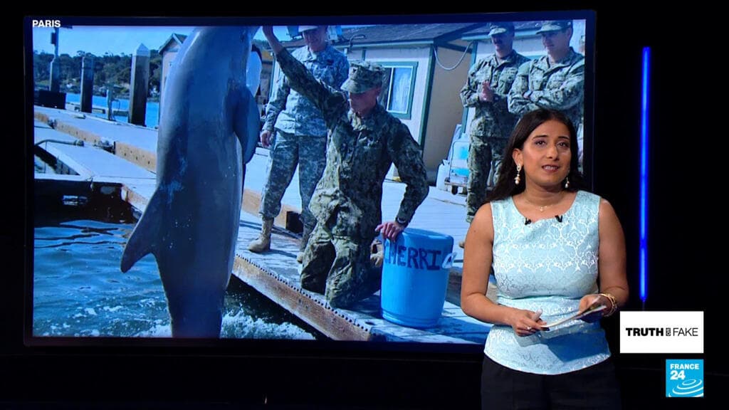 Could Iran use ‘kamikaze dolphins’ against the US in the Strait of Hormuz?