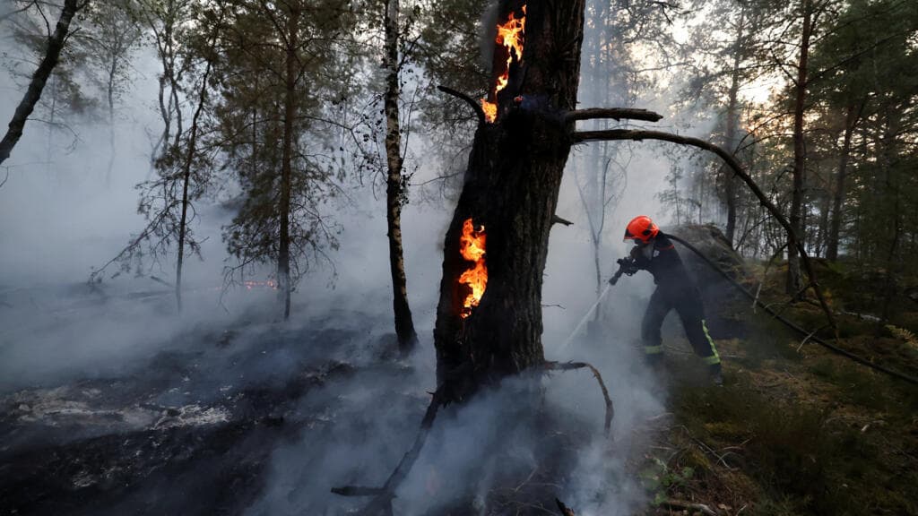 Wildfires Destroy Over 1,900 Hectares of Fontainebleau Forest Near Paris
