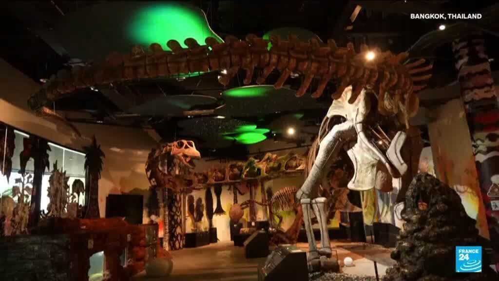 Researchers Discover New Massive Dinosaur Species in Thailand