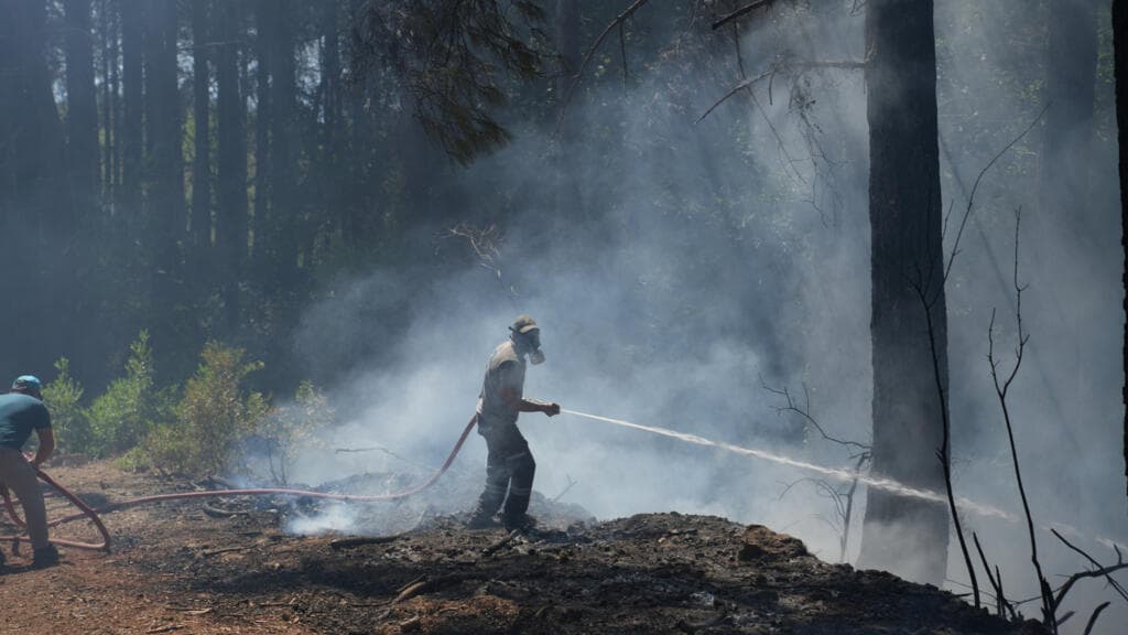 France and Spain Seek Relief from Wildfires as New Blazes Erupt Across Europe