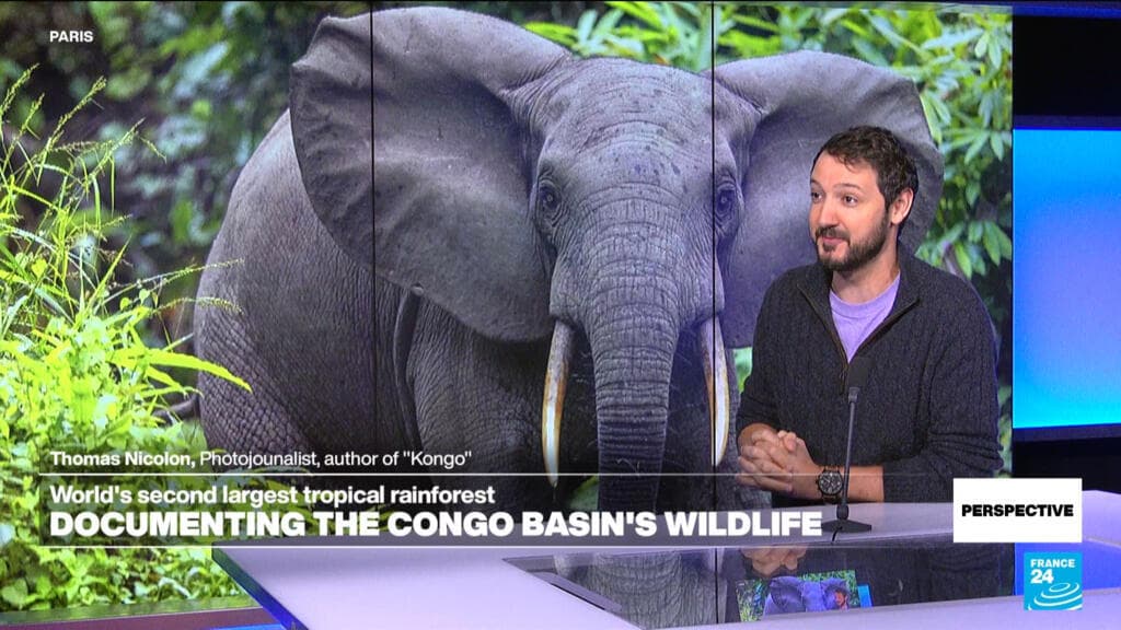 Photographer Thomas Nicolon Reflects on His Passion for the Congo Rainforest