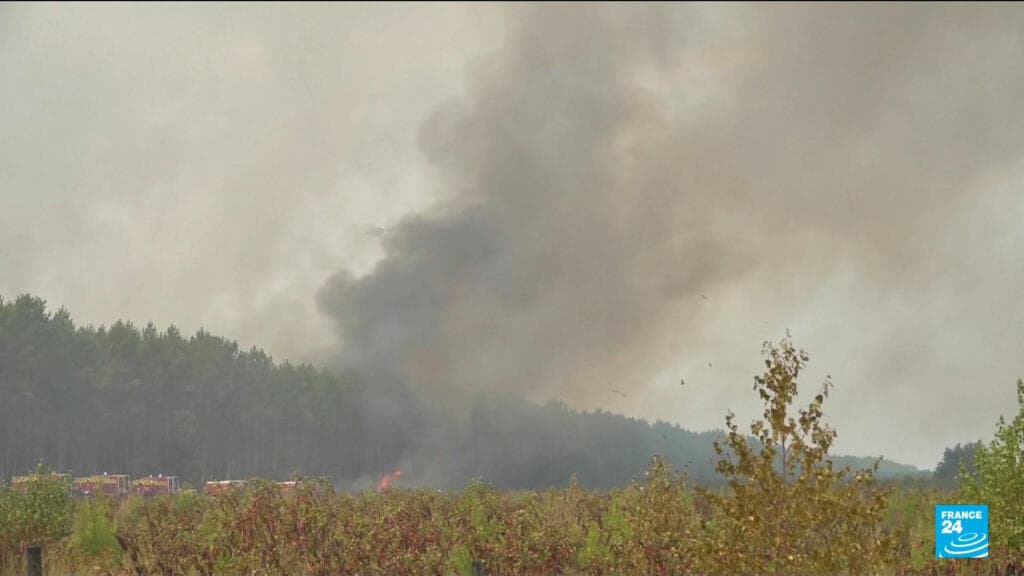 France Works to Control Forest Fires Ahead of Upcoming Heatwave