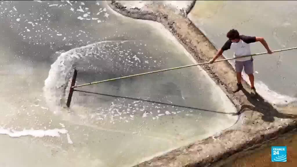 Heatwaves Lead to Record Salt Harvest in Guérande, France