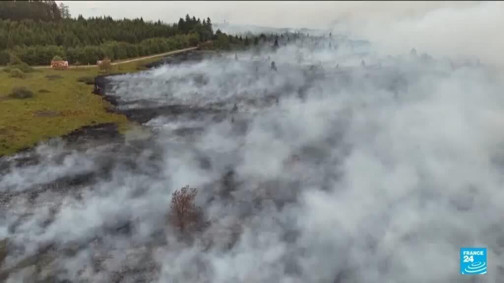 Belgium Faces Its Largest Wildfire in Modern History Near German Border