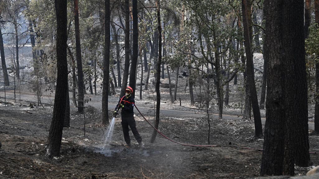Fire Resurfaces in Fontainebleau Forest Amid Ongoing Investigation