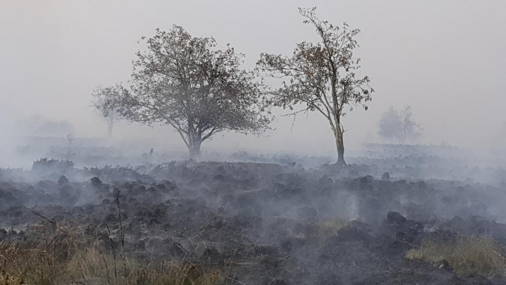 Belgium Faces Record Wildfire as Hundreds of Villagers Evacuate