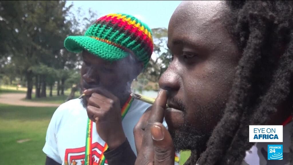 Kenya's Rastafari Society Fails in Bid to Decriminalize Cannabis Use