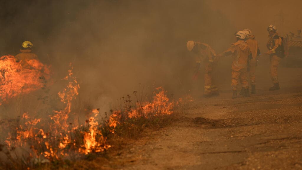Bordeaux Faces Threat as France and Spain Combat Severe Wildfires