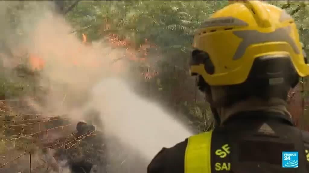 Firefighters Contain Fontainebleau Forest Fire Near Paris; Arson Investigation Underway