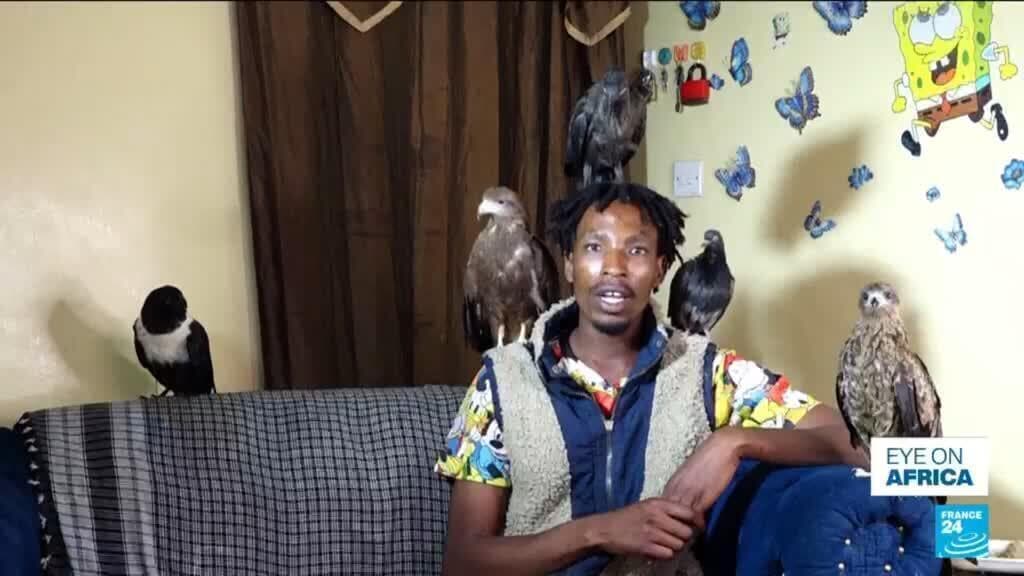 Kenyan 'Birdman' Gains Popularity for Rescuing Birds Amid Health Concerns
