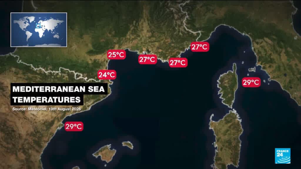 Global Average Sea Temperatures Hit Record High of 21 Degrees Celsius