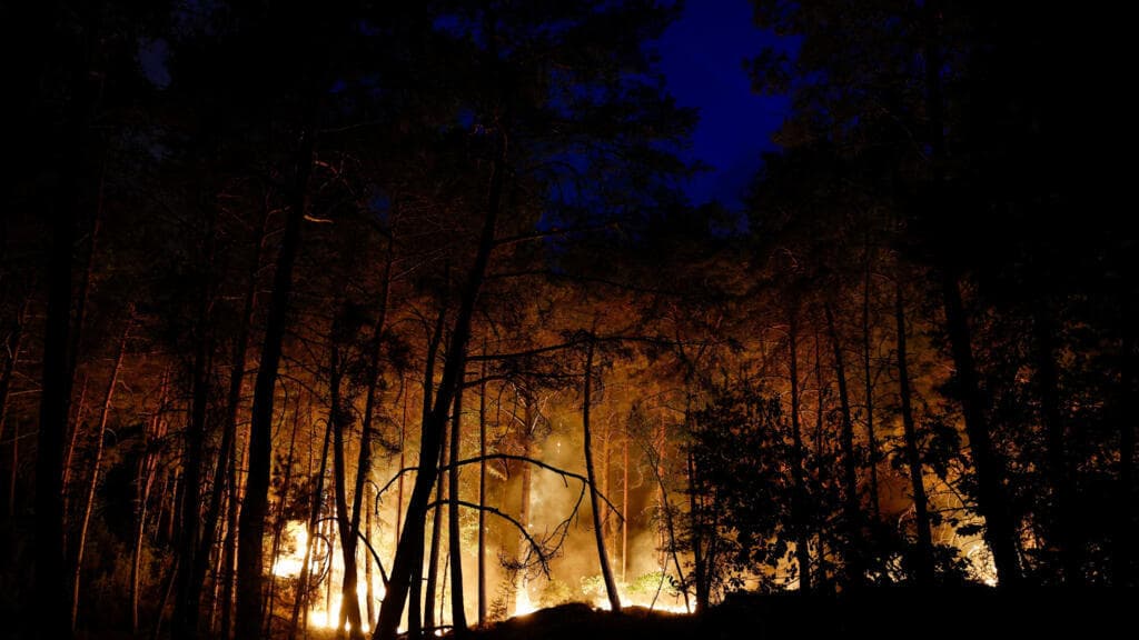 Wildfire in Fontainebleau Forest Near Paris Scorches 800 Hectares