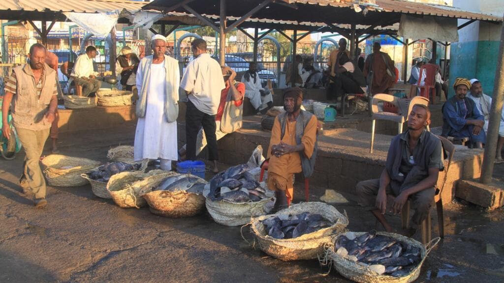 Drone attacks on Sudan markets kill at least 33