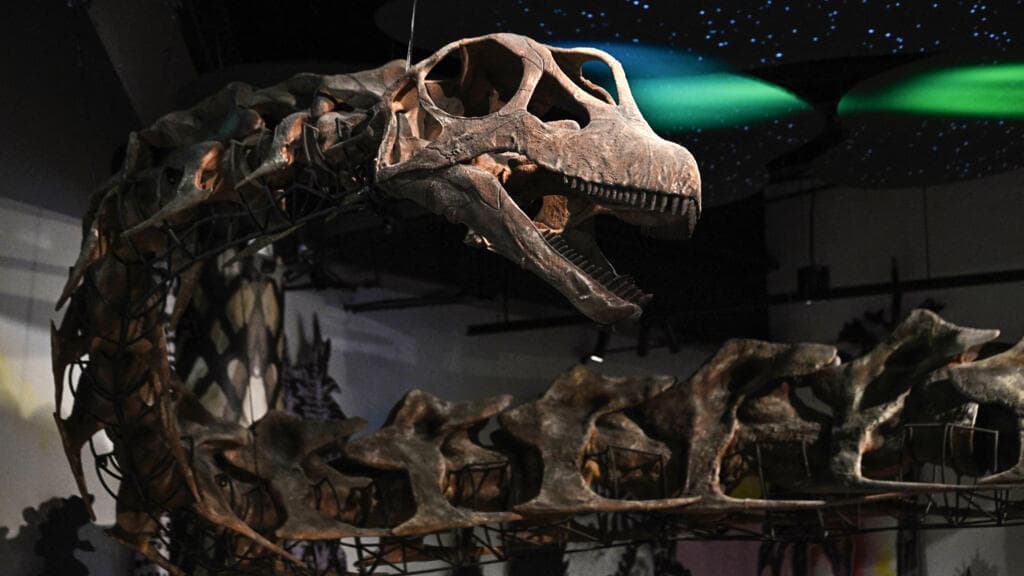 Newly Discovered Dinosaur Species Found in Thailand Weighs Equivalent to Nine Elephants