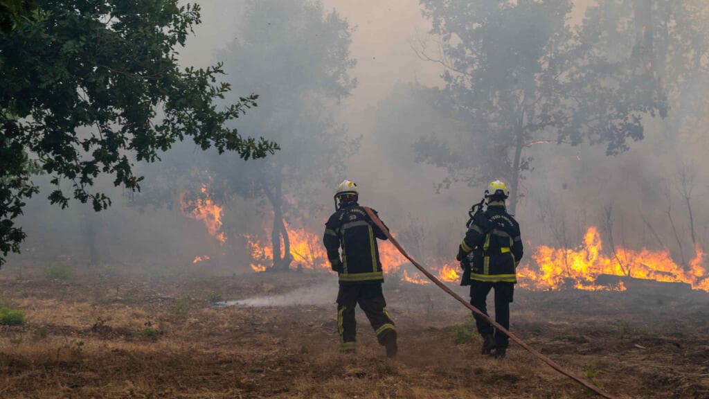 France Evacuates Towns Near Bordeaux Amid Ongoing Wildfires
