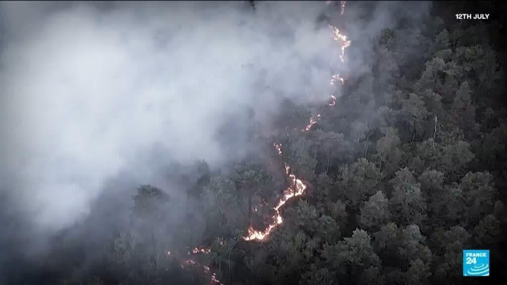 Fontainebleau Forest Reopens to Public After Wildfire Closure