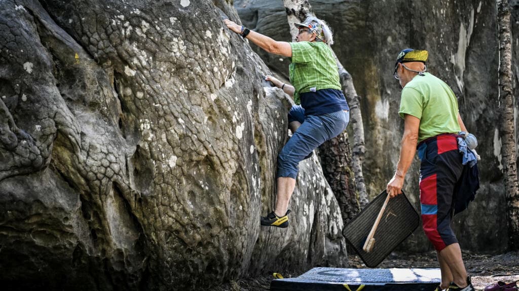 Fontainebleau Forest Reopens After Major Wildfire Damage