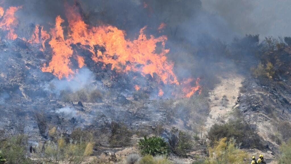 Firefighters Make Progress Against Deadly Wildfire in Southern Spain