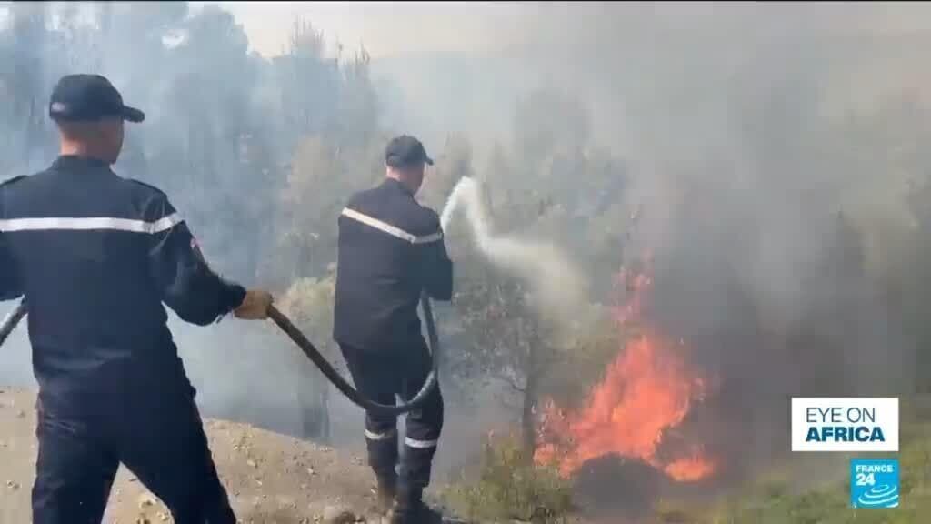 Severe Wildfires Affect Tunisia, Algeria, and Morocco Amid Heatwave