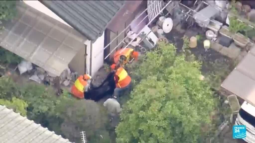 Bear Captured in Japan After Four-Day Search Amid Rising Attacks