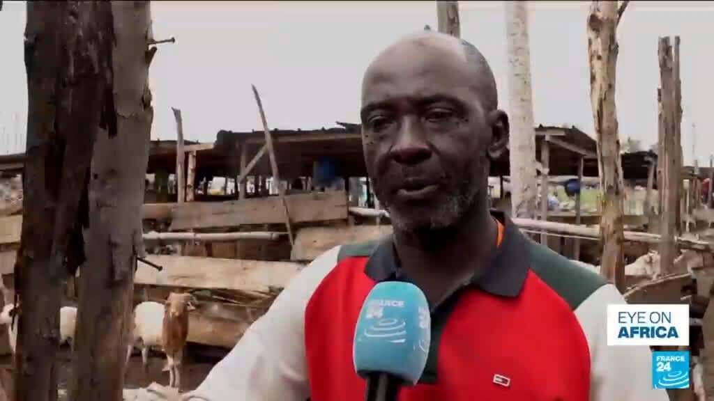Ivory Coast Faces Sheep Shortage Ahead of Tabaski Due to Trade Disruptions